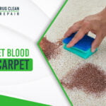 How To Get Blood Out Of Carpet
