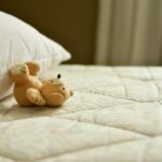 Carpet Cleaner on a Mattress